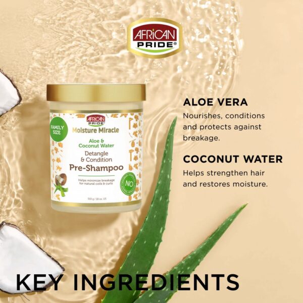 ALOE & COCONUT WATER PRE-SHAMPOO, 18OZ